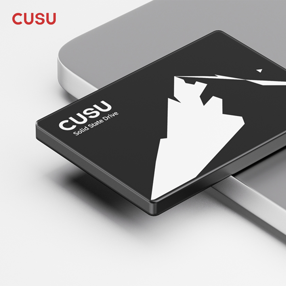 CUSU SSD 1TB 512GB 256GB 128GB - Ssd 500Gb ulasan dan harga